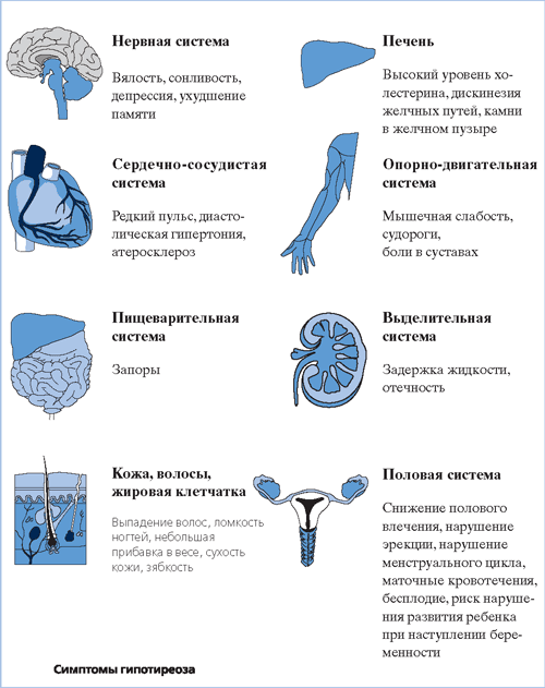 СИсптоматика ГИПОТЕРИОЗА